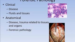 Forensic pathology pt 1