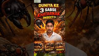 3 Most Dangerous Insects in the World 😱 | इनसे हर साल लाखों लोग बीमार पड़ते हैं ।  #facts  #shorts