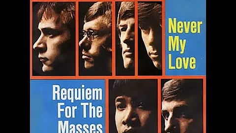 The Association. Tema: Never my love. año 1967
