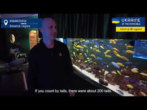 Entrepreneur from Kramatorsk helps save fish whose owners are leaving