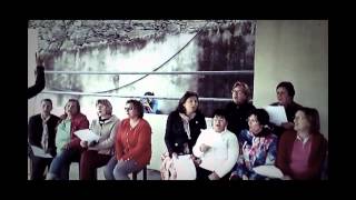 Cardo-Amarelo | Vilarinho de São Roque 2015