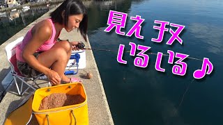 見えチヌの底めがけて団子投げたらやっぱり大物居た！(Vol.70)