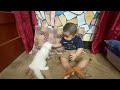 Cute Baby Compilation 👶❤️ | Funniest Baby Reactions Ever 😍 | Try Not to Laugh