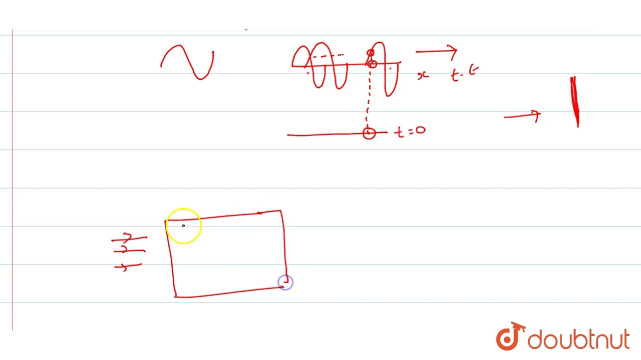 Distinguish between transverse and longitudinal wave motion.