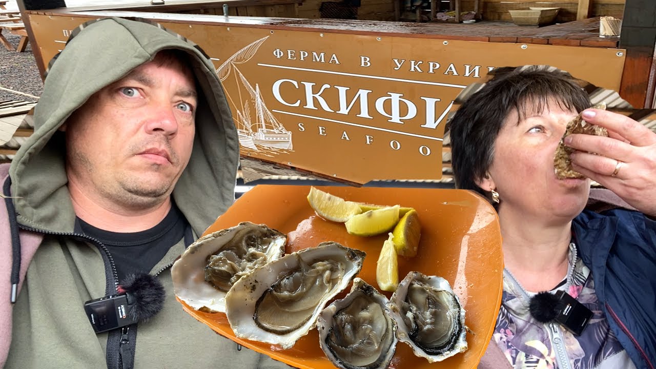 Меганом ферма мидийно устричная