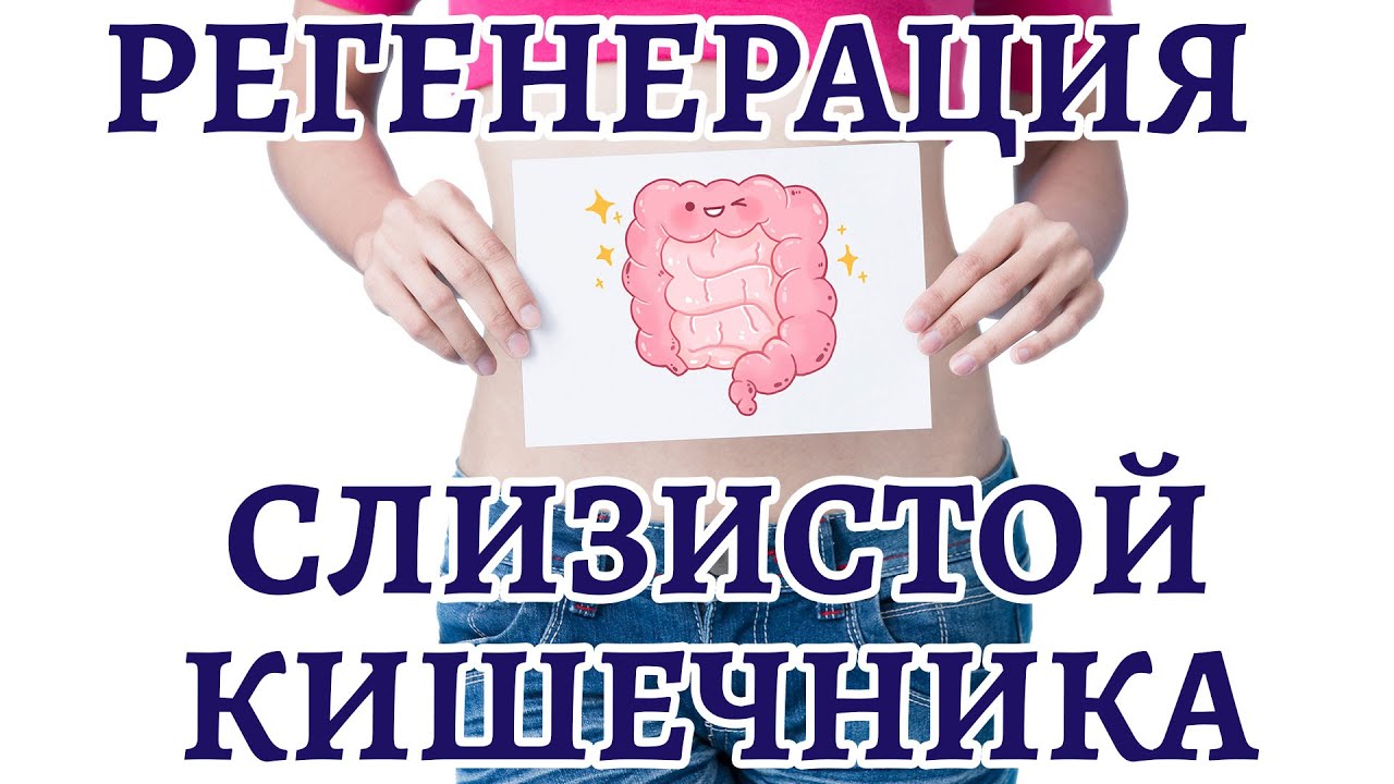 Регенерация слизистой кишечника | 10 шагов по восстановлению ЖКТ - YouTube