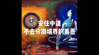 201805 安住中道　不去分别境界的善恶23247