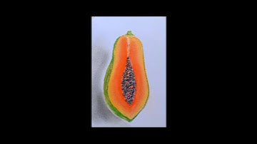 Papaya Fruit Drawing #shorts #drawing #papaya #fruit #shortsvideo