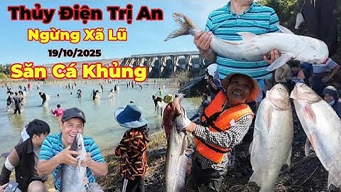 Biển Người Đổ Về Hồ Thủy Điện Trị An săn thủy quái bắt cá khủng 