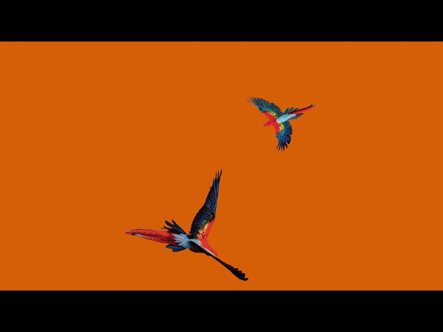 thumbnail img16x9