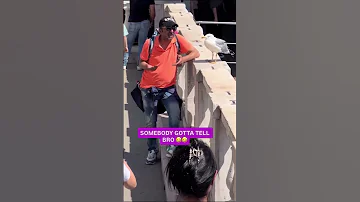 SOMEBODY GOTTA TELL BRO HE S TALKING TO A SEAGULL VOICEOVER 