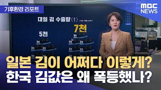 [기후환경 리포트] 일본 김이 어쩌다 이렇게? 한국 김값은 왜 폭등했나? (2024.05.20/뉴스투데이/MBC)