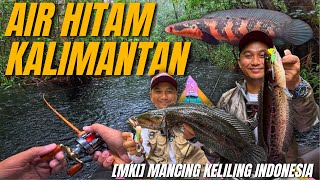 GILA‼️KALIMANTAN SEGANAS INI!! 🔥Berburu Channa Langka di Air Hitam Taman Nasional Sebangau