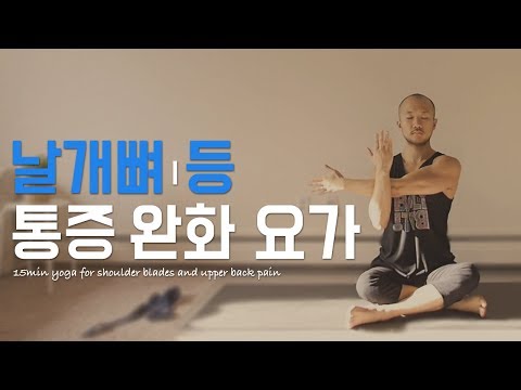 날개뼈 · 등 통증 완화를 위한 요가 (의자에 앉아서 하는 스트레칭 / 오피스요가) | 15분 통증 완화 요가 | 요가소년 084