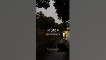 إِنَّا نَحْنُ نَزَّلْنَا عَلَيْكَ الْقُرْآنَ تَنْزِيلً-أسلام صبحي | سورة الإنسان | #حالات_واتس