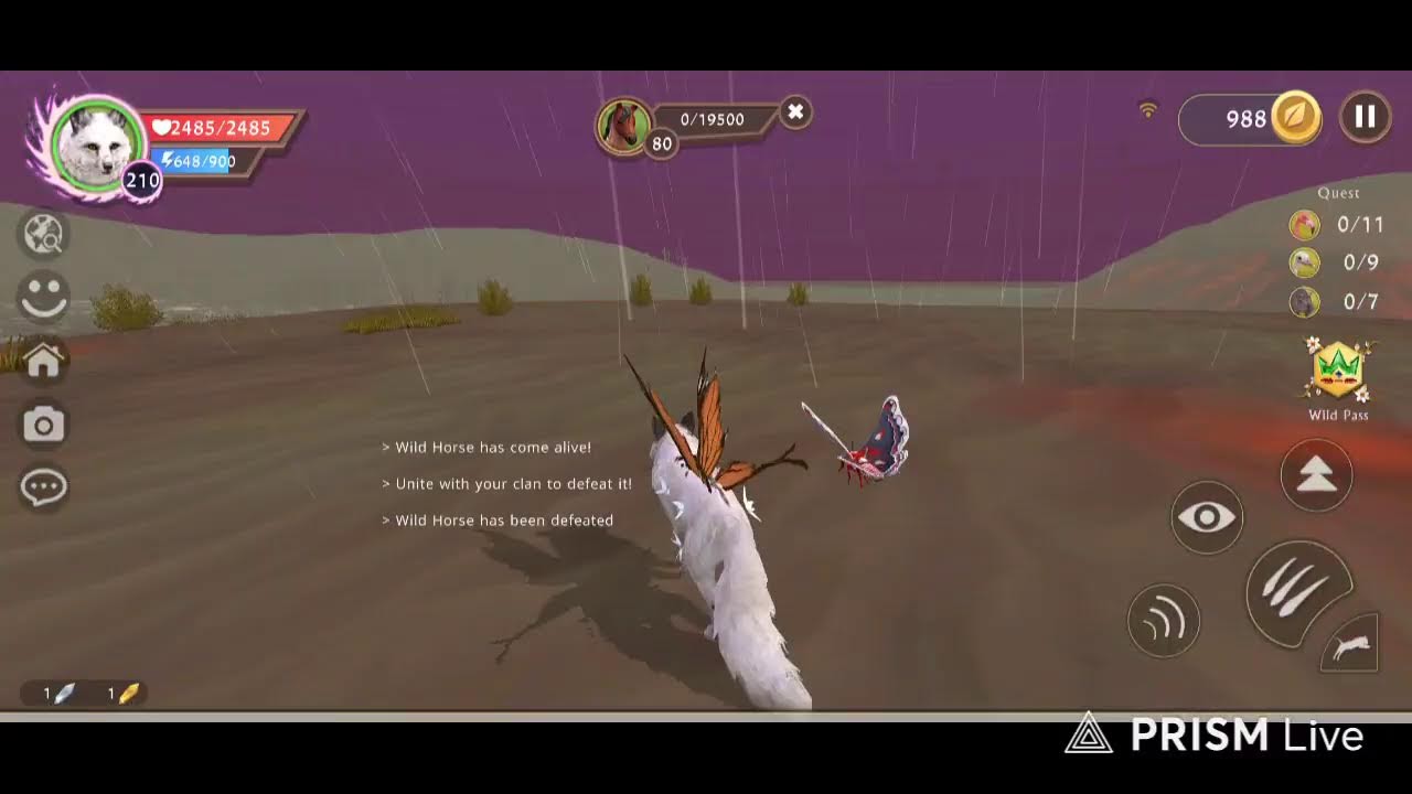 Christmas livestream of Frostylce 