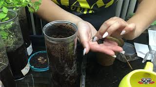 Wonder Soil Grab & Grow Kit