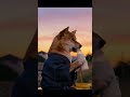 【至福のひととき】仕事疲れはお風呂と牛乳で癒す柴犬🐶🌇 #shorts