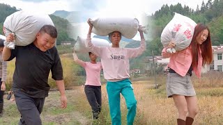 This year's rice harvest has been bumper again, another bumper harvest