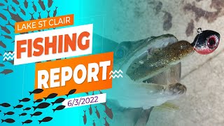 Lake St. Clair Fishing Report 6/3/2022