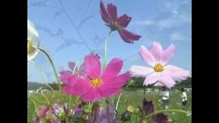 PIANO-Time Passed Me By-TMN
