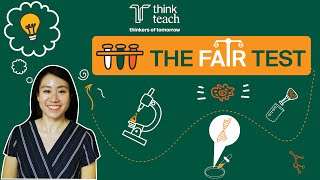 PSLE Science OEQ: Writing Techniques to Ace Fair Test Experiment Questions