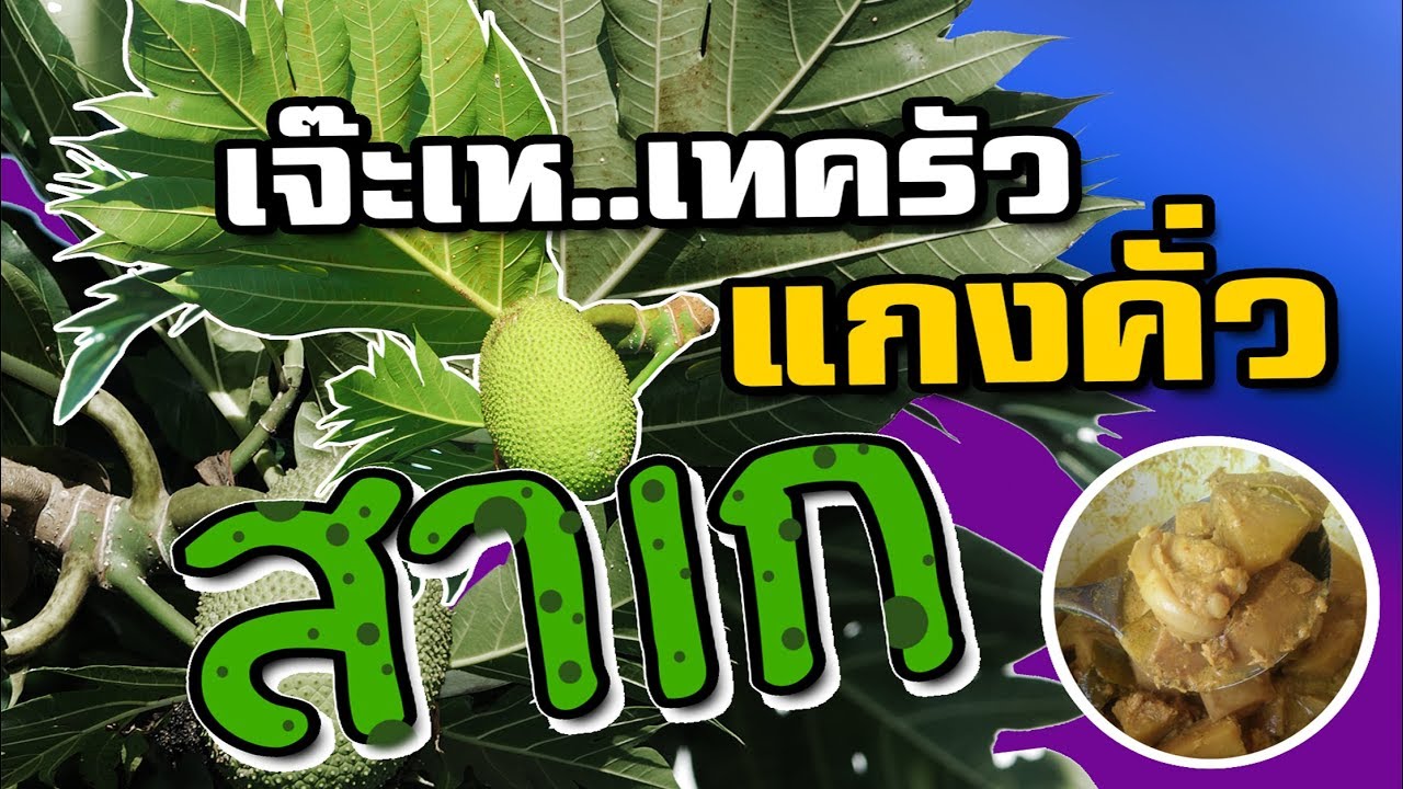 ครั้งแรกกับเมนูอาหารจากสาเกที่ไม่ใช่สาเกเชื่อม | เจ๊ะเหเทครัว | เจ๊ะเหหวานเจี๊ยบ | สาเก ทํา อาหารเนื้อหาที่เกี่ยวข้องที่สมบูรณ์ที่สุด