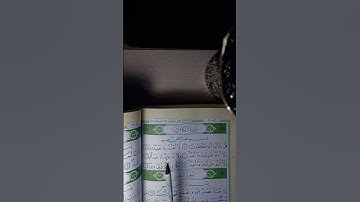سورة الكافرون بصوت سعد الغامدي 🌿 #quran #youtube