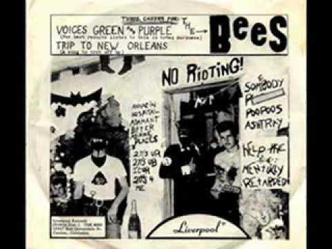 The Bees - Voices Green And Purple 1966 (psych, Fuzz, Garage)