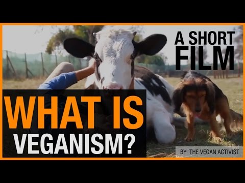 What Is Veganism? (+ Why You Should Be Vegan)