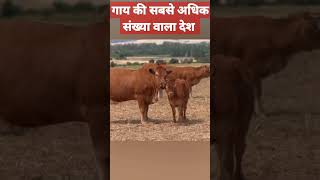 गाय की सबसे अधिक संख्या वाला देश ??shorts youtubeshorts  facts Dekho village lifestyle