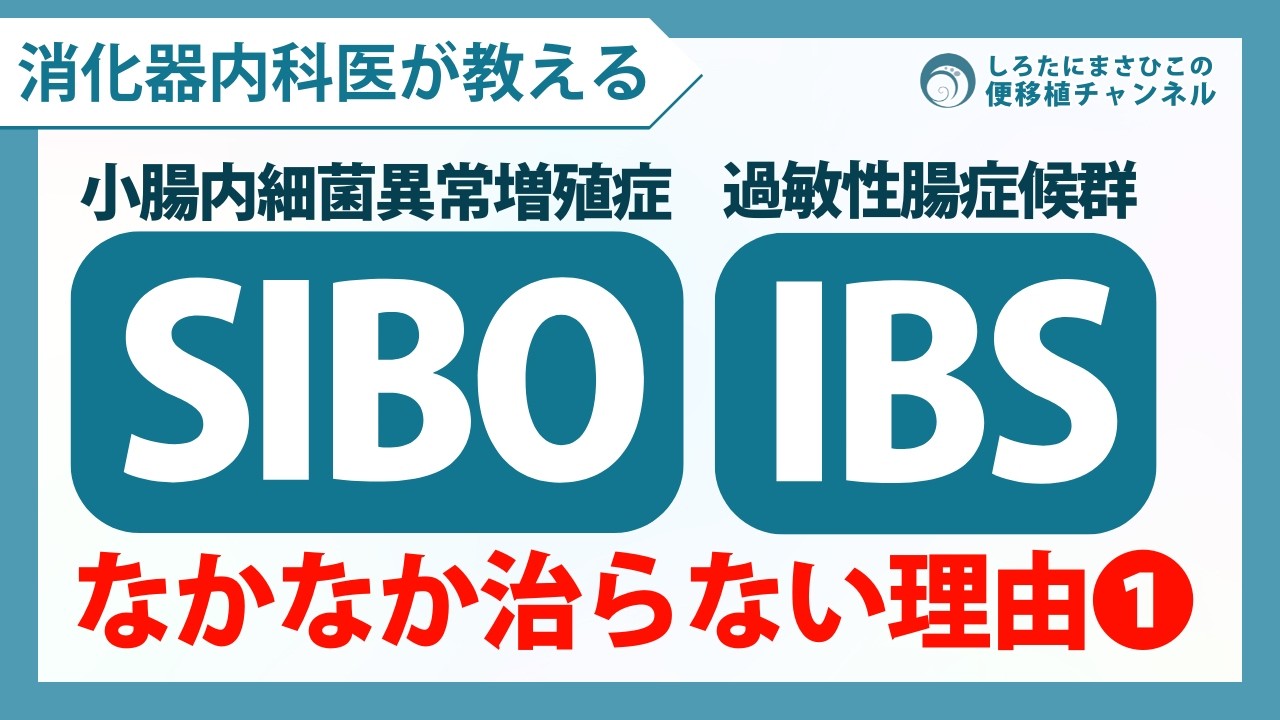 【SIBO・IBSがなかなか治らない理由①】