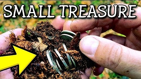 SMALL TREASURE - dreams come true. Looking for treasure with Metal Detector is amazing hobby!
