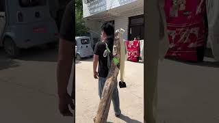 Advantages of a giant slingshot
