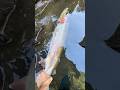 #pnwfishing #fishing #steelhead #trout #troutfishing #steelheadfishing #greatpnw #fish #pnwfishing