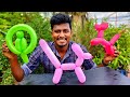 Balloon Tricks | இப்படி பலூன்-ல நாய், கிளி செஞ்சு பார்த்திருக்கீங்களா! | Vijay Ideas