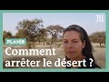 Comment Arrêter Le Désert Avec La Grande Muraille Verte PlanB
