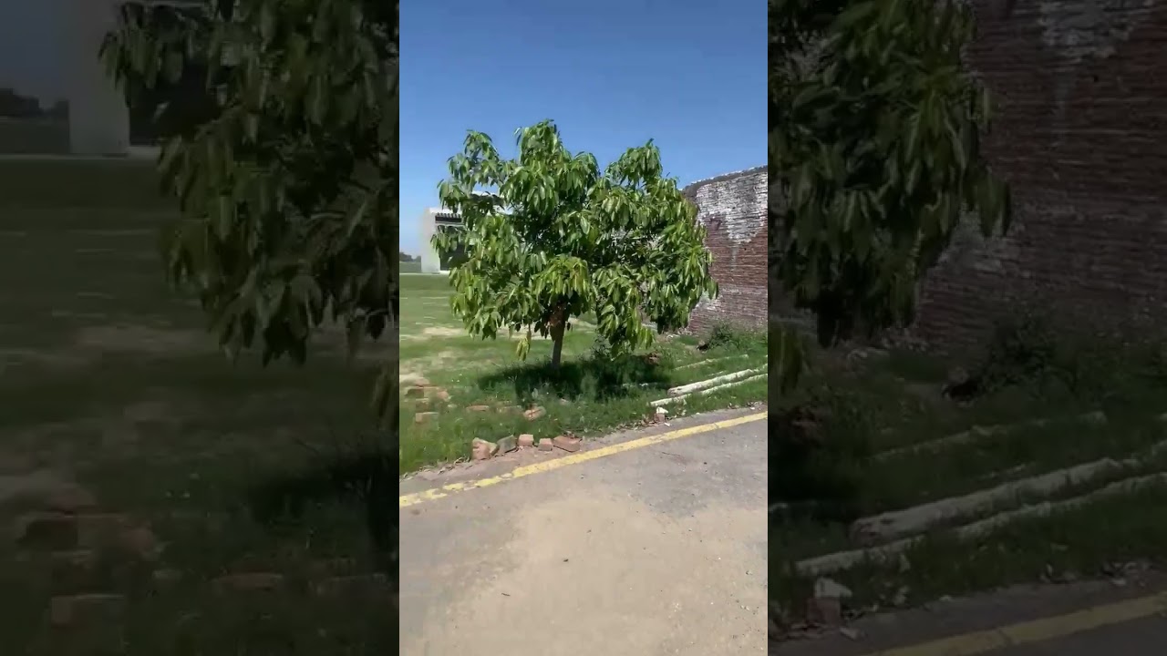 8 marla plot for sale in sufi city mandi bahauddin 