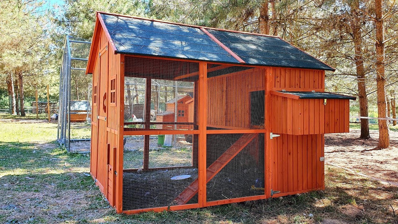 Poulailler et poule pondeuse / Tuto complet