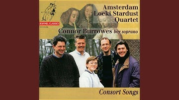 Taffel Consort: No. 37. Male Content