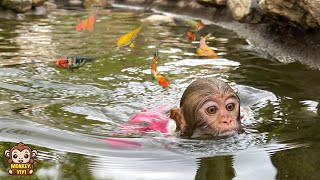 YiYi forgot about taking care of baby monkeys to experiences swimming with fish