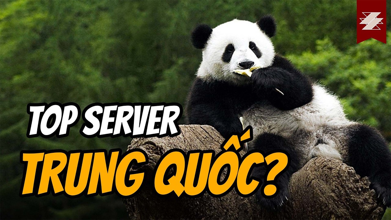 Vị tướng TOP ĐẦU META server TRUNG QUỐC - Gấu Trúc | TIÊU ĐIỂM THÚ | SAMURICE