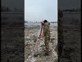 Минутка юмора #свойдом #дача #загороднаяжизнь #стройка #мечта
