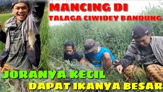 MANCING⁉️DI TALAGA- CIWIDEY-CIBODAS-BANDUNG- MANTAP SPOTNYA