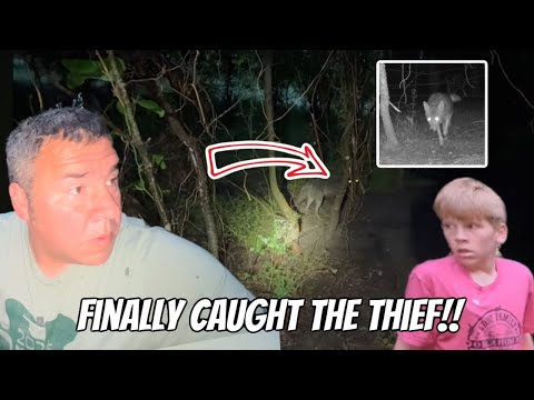 Hidden Camera Caught The Predator On Private Property!!￼￼