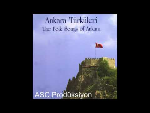 Gülşen Kutlu -