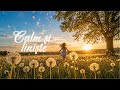Stare de bine și concentrare 🌸 Muzică de primăvară | Spring Music for Focus & Positive Vibes