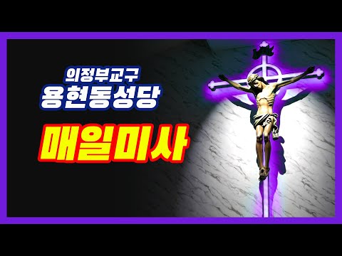 영상썸네일