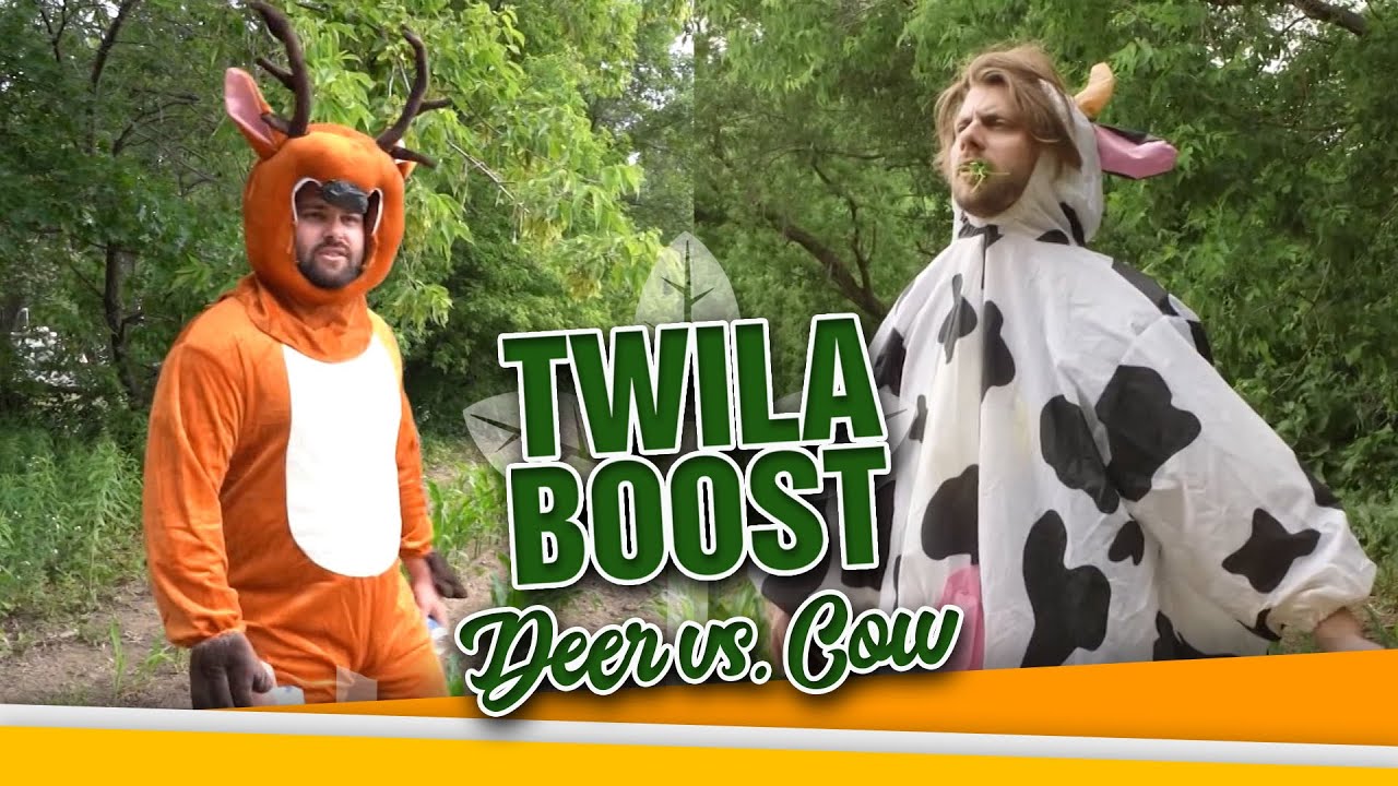TWILA Boost -- Deer vs. Cow