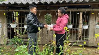 Download Lagu CEO Tung en Tu Anh planten bloemen om het Chinees Nieuwjaar te vieren. MP3